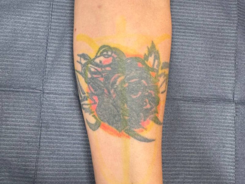 51729586-b43b-44a8-94c0-9ac3611f5639