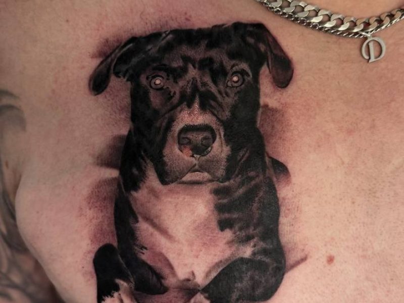 8d3d1824-25f3-4698-b48f-88b52b9f6b06